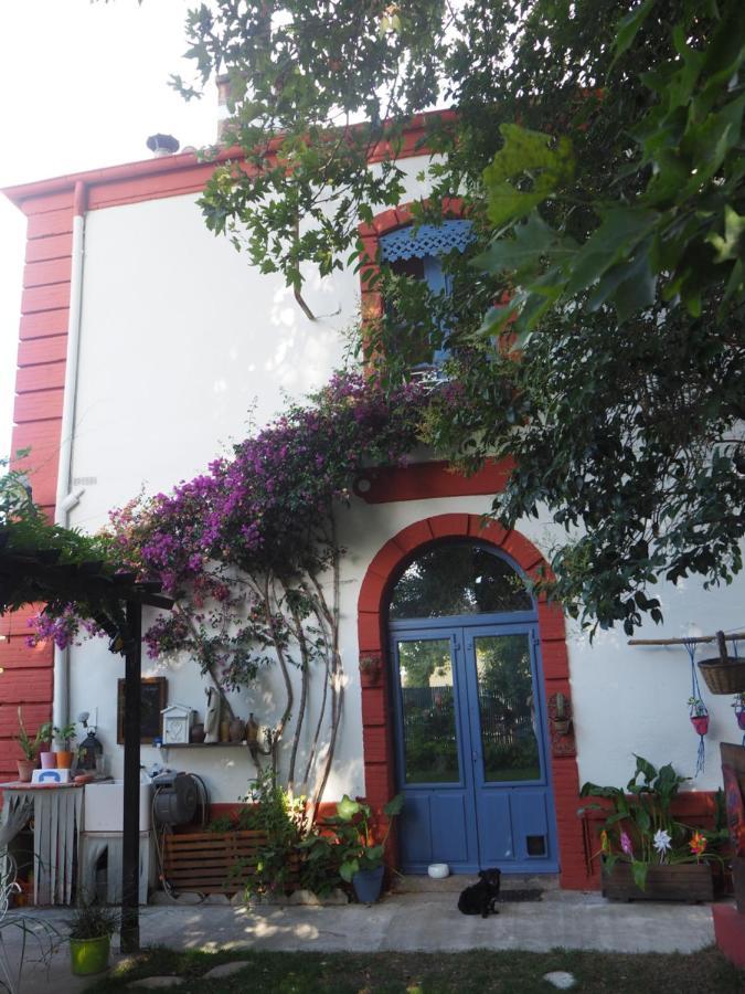 La Gare De Millas Chambres D'Hotes Dış mekan fotoğraf